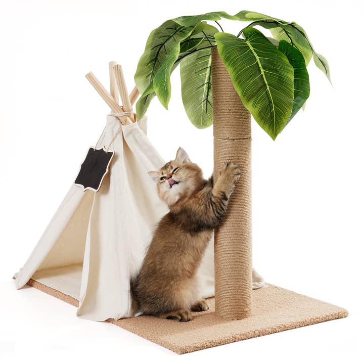 Robud & Mewoofun Official Store – Großhandel Haustier-Kratzfläche – Katze – Katzen-Kratzbaum mit Sisalstamm und Teepee-Spielzelt für drinnen2