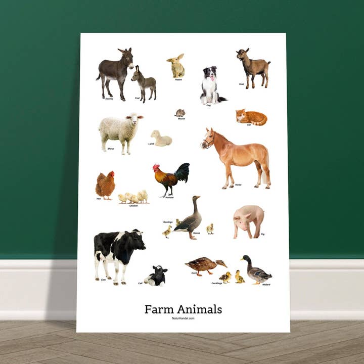 Poster di animali da fattoria per la vendita all'ingrosso da parte di NaturHandel.dk
