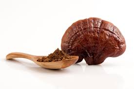 Cibobenessere - Wholesale Protein/Superfood Powder - Organic REISHI Mushroom Powder (Ganoderma)3