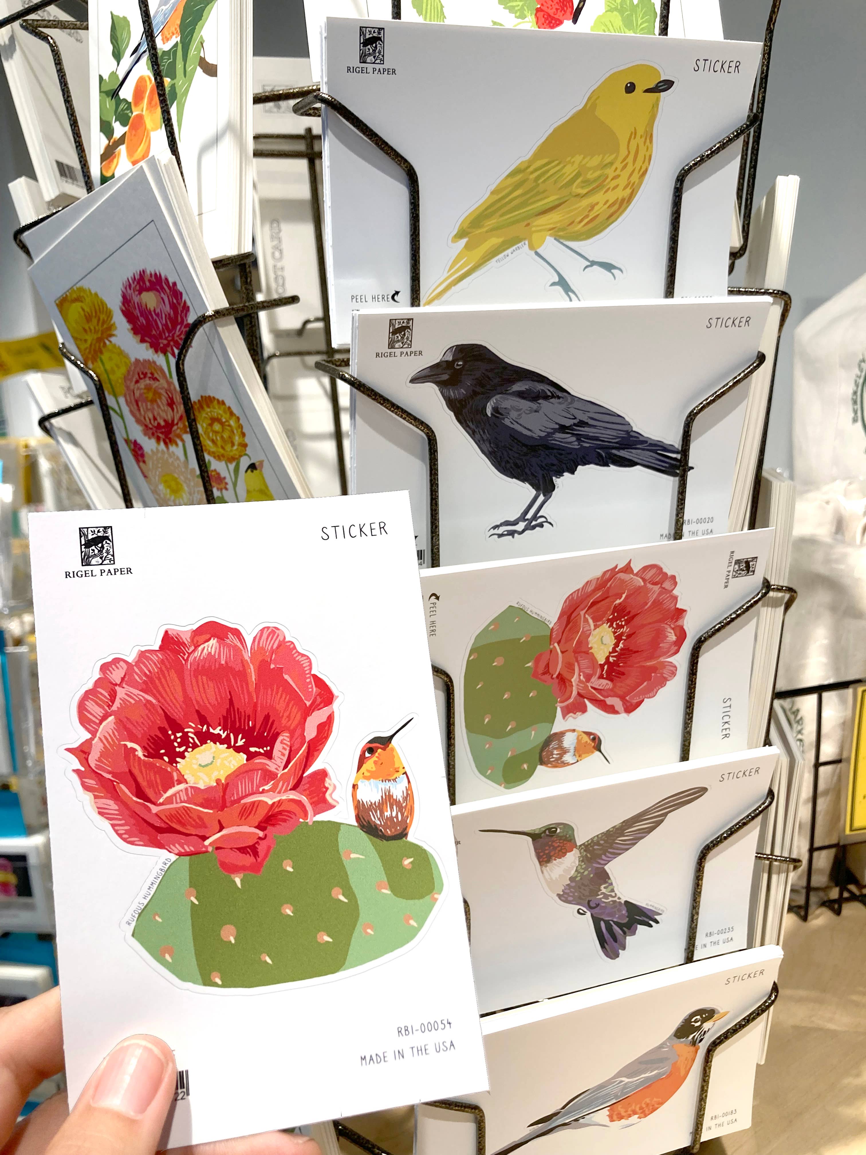 Rigel Paper - Wholesale Sticker - RBI-56 Cactus Wren Bird Sticker2