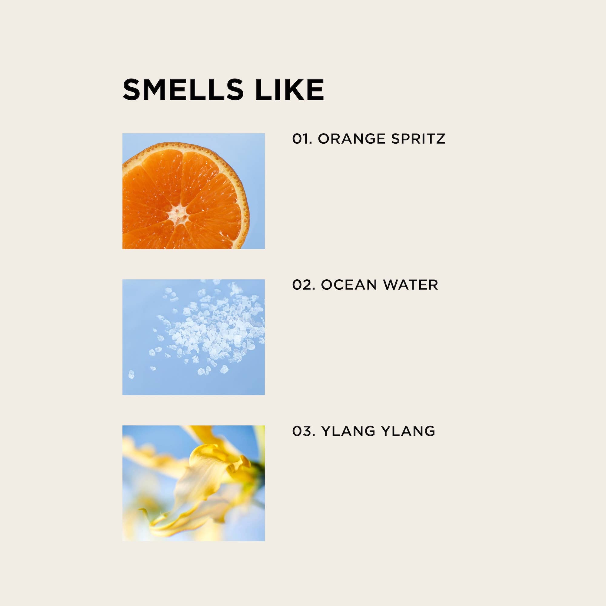 By Rosie Jane - Wholesale Perfume/Eau de Toilette - BEACH BABY body + hair perfume mist1