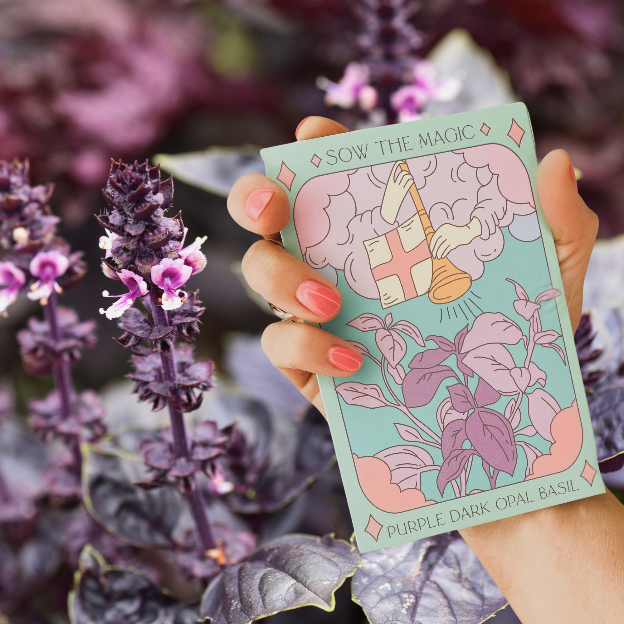 Sow the Magic - Wholesale Plant Seeds - Culinary Herb Bundle Seed Collection5