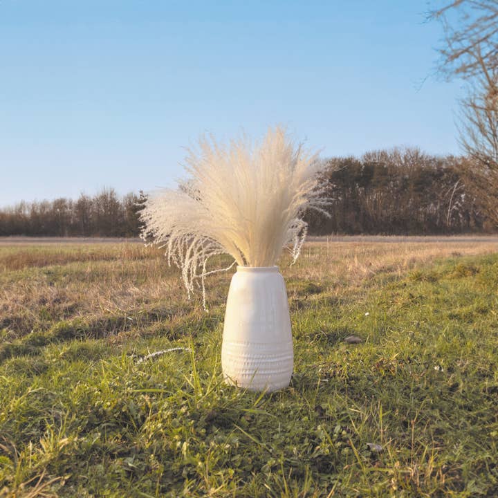 Tim&Puce Factory - Wholesale Dried/Pressed Flowers - SET OF 10 PAMPAS LIGHT NATURAL WHITE