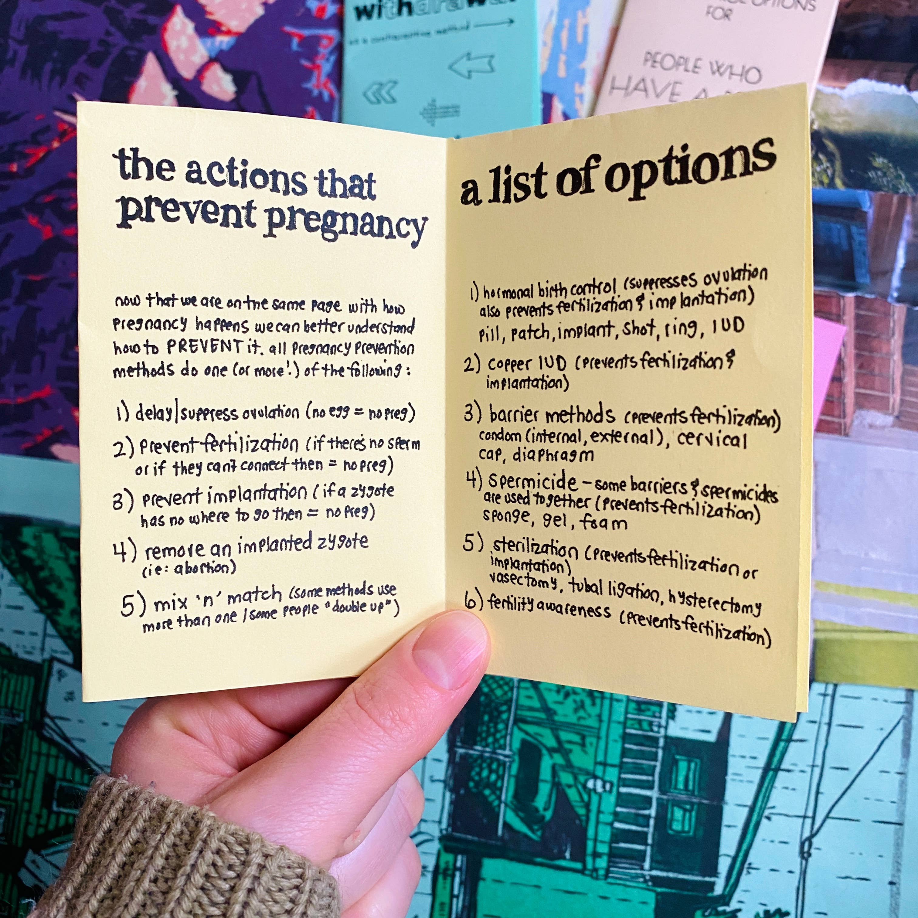 Pleasure Pie - Wholesale Medical Health Book - Birth Control Zine Bundle | Gender affirming sex education4