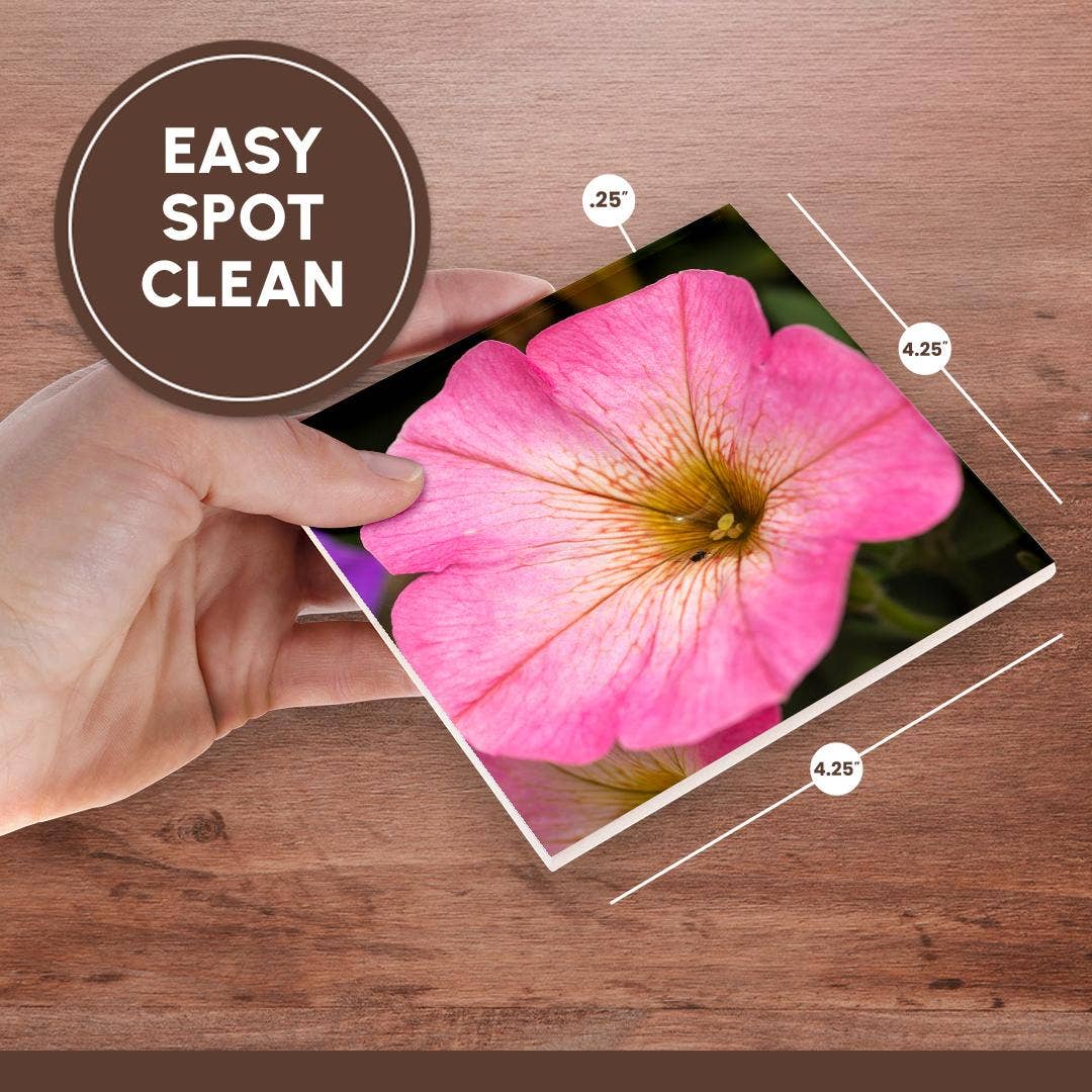 3dRose – wholesale Coasters – 3dRose, Pink petunia flower. A bug drinks rainwater from inside the plant, Coaster6