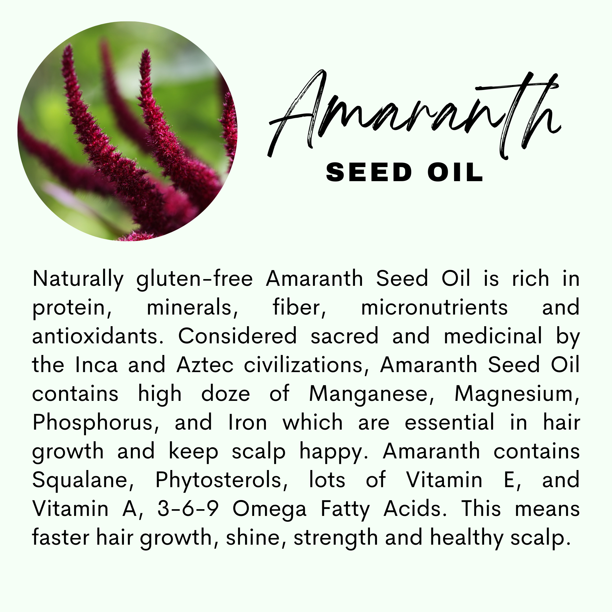 The Sacred Essence – wholesale Hårolja – HÖGRE VISDOM - 16 Kraftfull hårväxt och stärkande oljor9