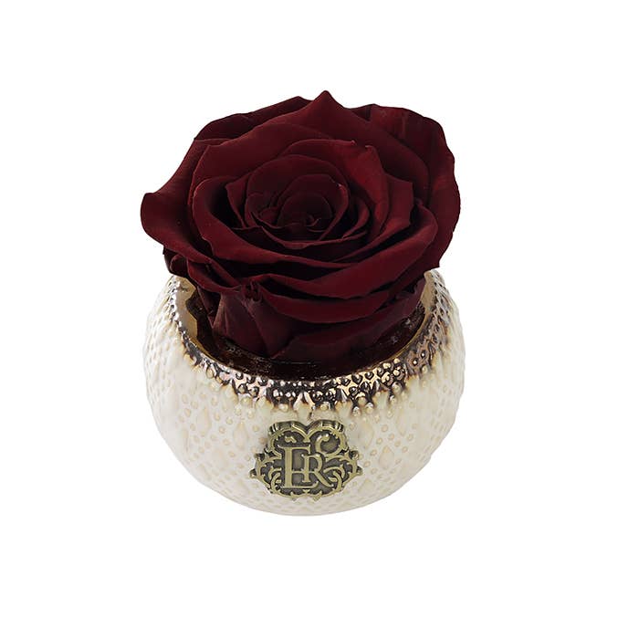 Eternal Roses® - Wholesale Artificial Flowers - Mini Soho Classic Eternal Luxury Rose12