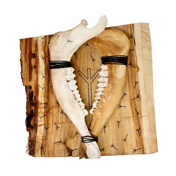 Pendentif double mâchoire d'élan Algiz pour la vente par Oreamnos Oddities