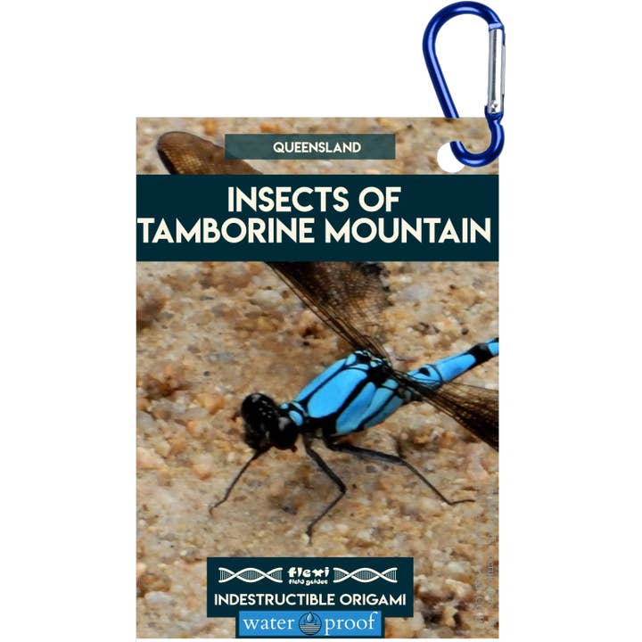 Insects of Tamborine Mountain-Indestructible Origami for wholesale by Flexi Field Guides