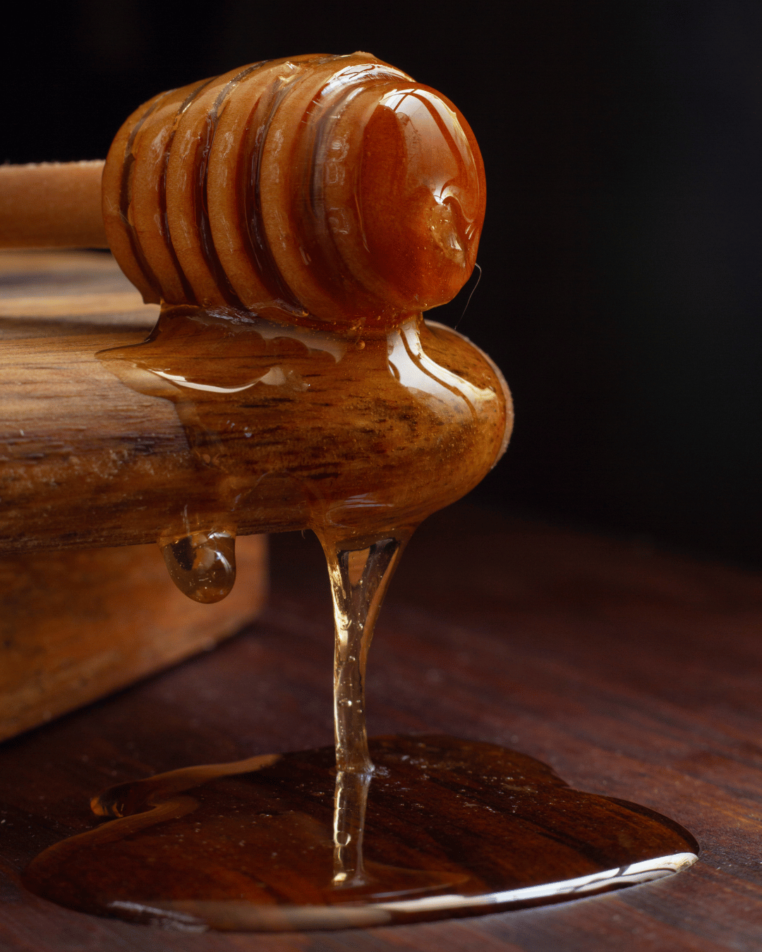 CONVIVIA for italian food lovers - Wholesale Honey - Organic forest honeydew honey 250g2