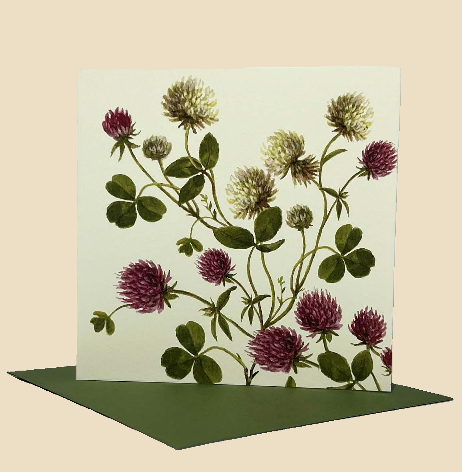Sophia Davenport - Wholesale Everyday Greeting Card - Wildflower Greeting Cards and Notelets2