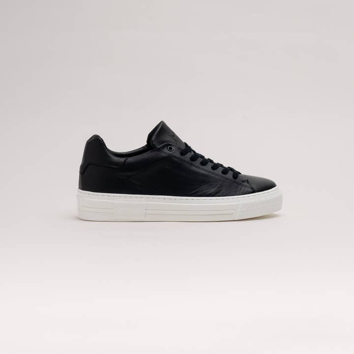 FRED BLACK | ZAPATILLA para venta al por mayor de JoDis Shoes