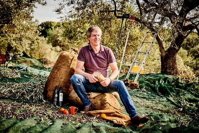 JC Olivenöl - Wholesale Olive Oil - JC Olive Oil - 5 Liter Canister - Organic Extra Virgin Olive Oil6