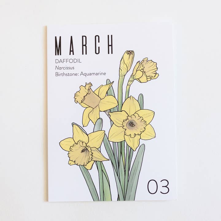 Engros lykønskningskort: Fødselsmåned: MARTS for engroshandel hos WildFlora