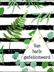 Etiquetas de presente Mix - Nr. M132 por atacado de POSkaart | De Groot Design