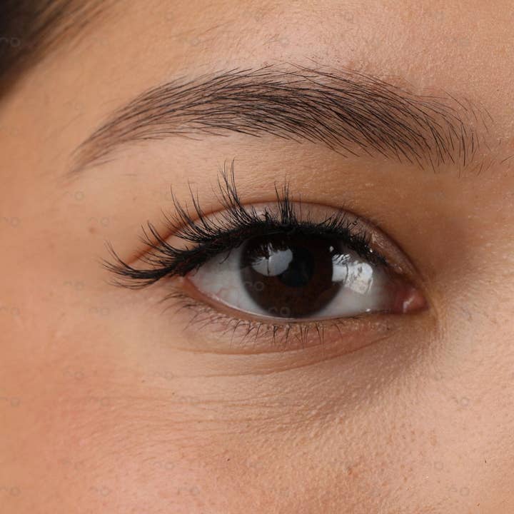 CocoLash - Wholesale False/Fake Eyelashes - Jasmine