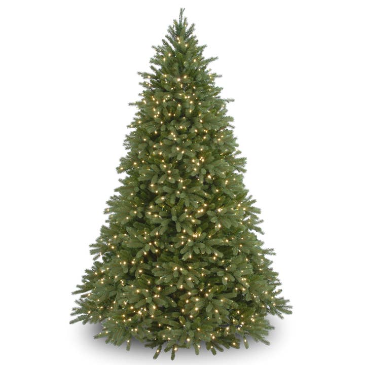 6.5 ft. Pre-Lit Jersey Fraser Fir Tree with Clear Lights, Plug-In for wholesale by National Tree Company
