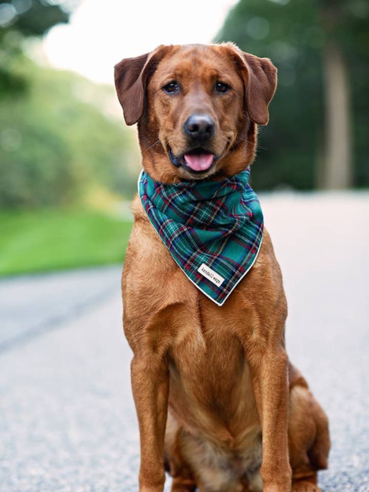 Le bandana écossais vert des fêtes pour la vente par Kendall Wags