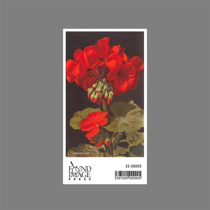 Found Image Press - Wholesale Sticker - Sticker FC-59 Geranium1
