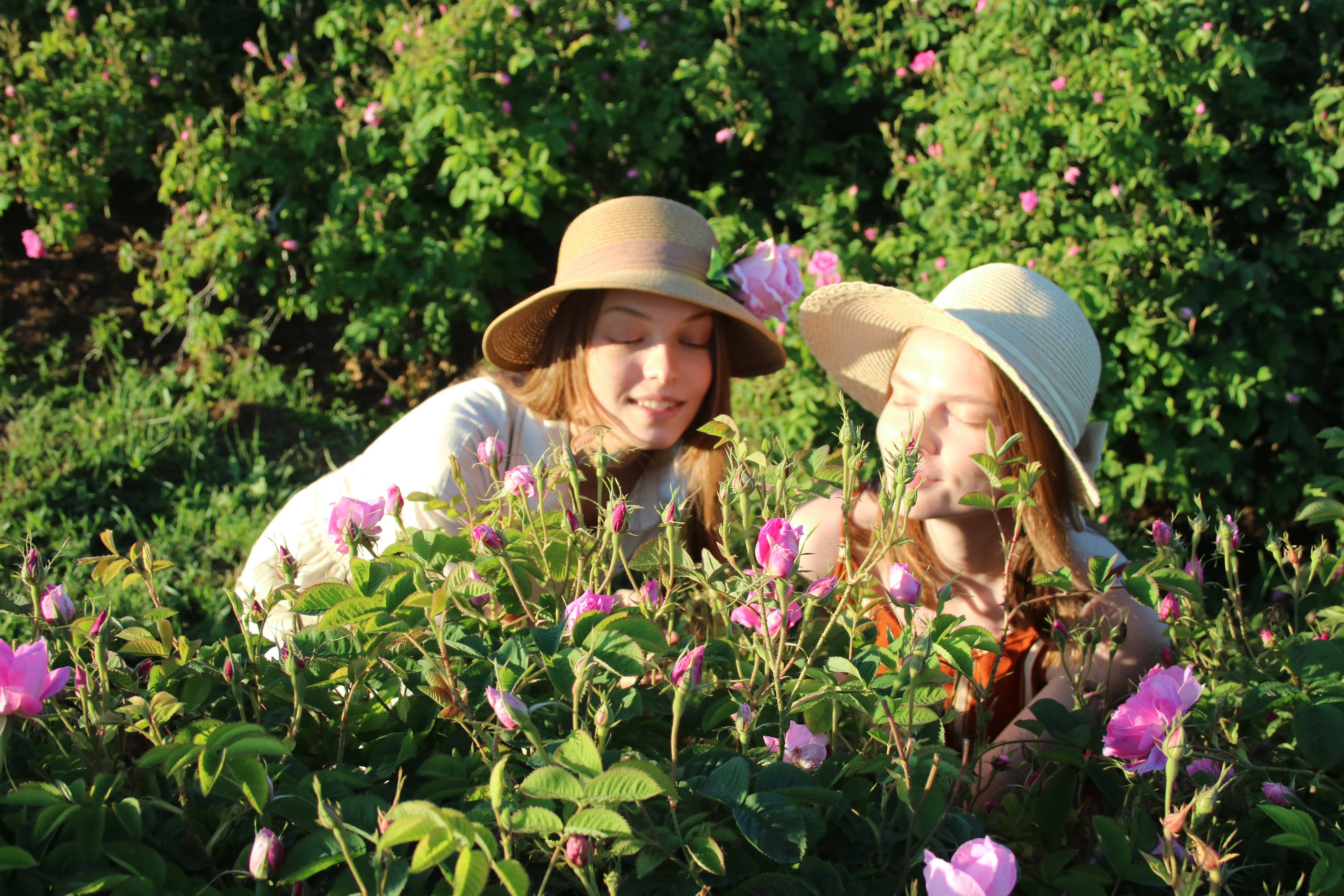 Mediterranean Food Depot - Venta al por mayor Agua/bruma facial y corporal - Botella de vidrio con aerosol de agua de rosas Rosense2
