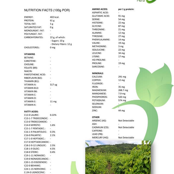 Ganesa Trading – wholesale Nuts – Organic Sacha Inchi Seeds from Peru, USDA4