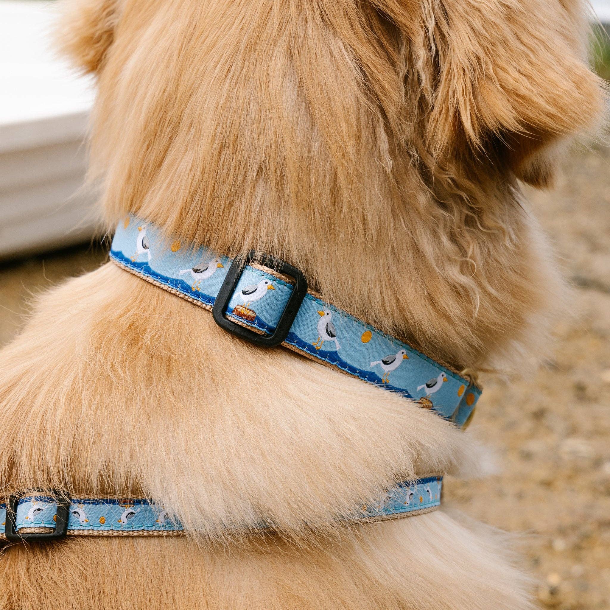 Up Country, Inc. - Wholesale Pet Collar - Dog - Gull Watch Dog Collar2