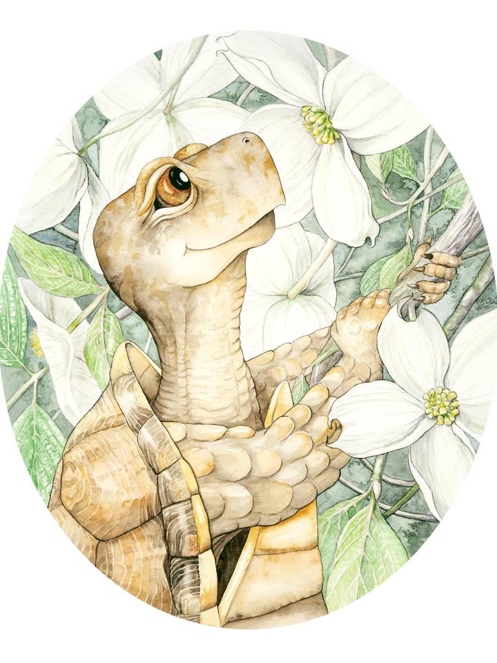 Eastern Box Turtle Dogwood 5”x7” Notecard for wholesale by Katie Crawford Art