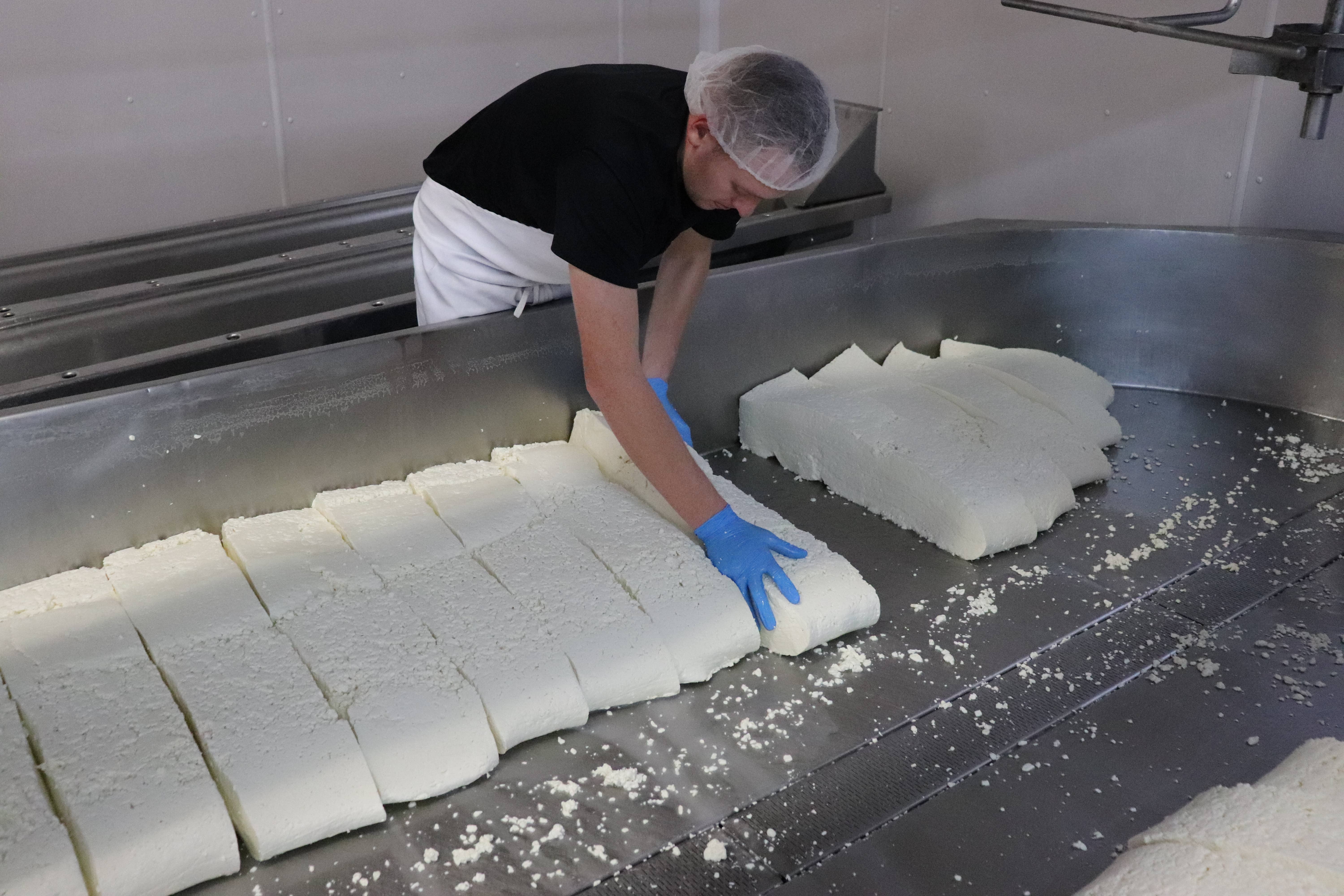 Alma Creamery LLC - Wholesale Cheese - 8oz. Bacon Ranch Flavored Cheese Curds1