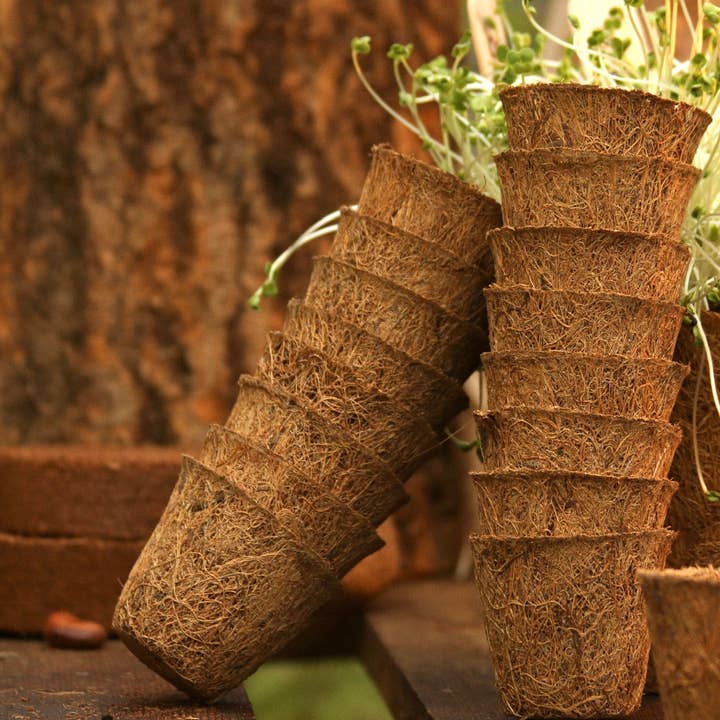 CoirProducts.co.uk of Salike Limited - Venta al por mayor Macetas - Maceta de fibra de coco de 5 cm para siembra 100% biodegradable | Coirproducts