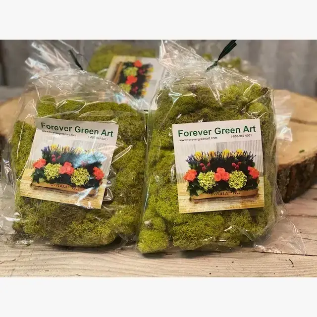 Forever Green Art - Wholesale Live Plant - Preserved Colored Deer Moss – 4oz Bag (Min. 8 Bags)8