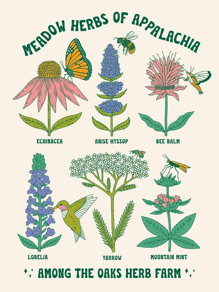 Meadow Herbs & Pollinators Sticker Sheet for wholesale by Among the Oaks Herb Farm