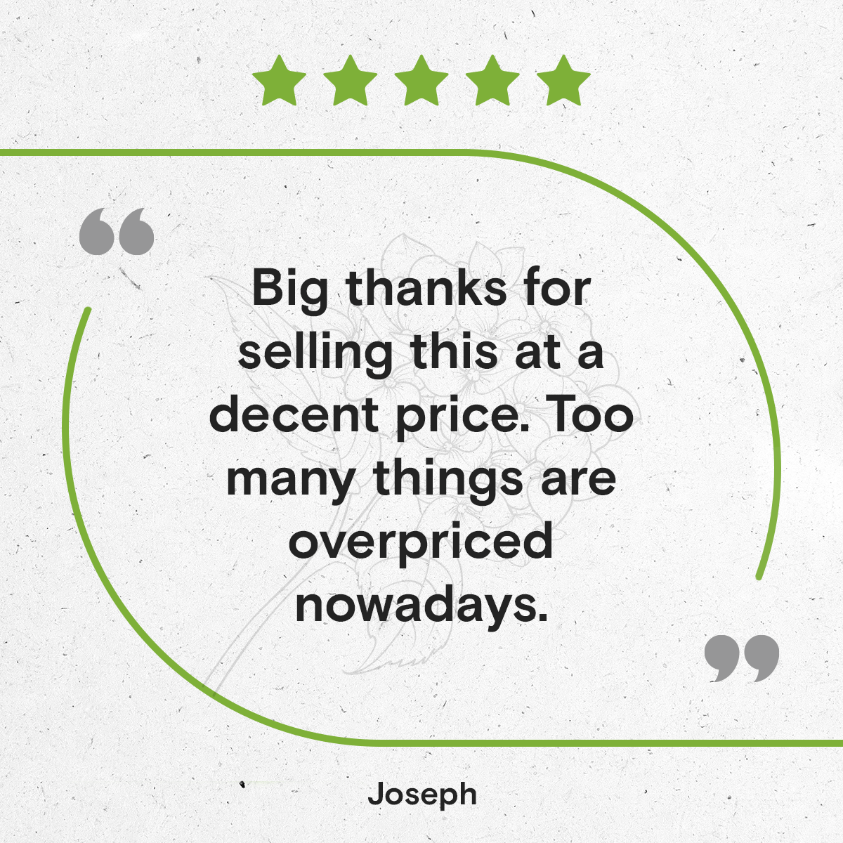 Secrets Of The Tribe - Wholesale Tincture - Kelp Tincture6