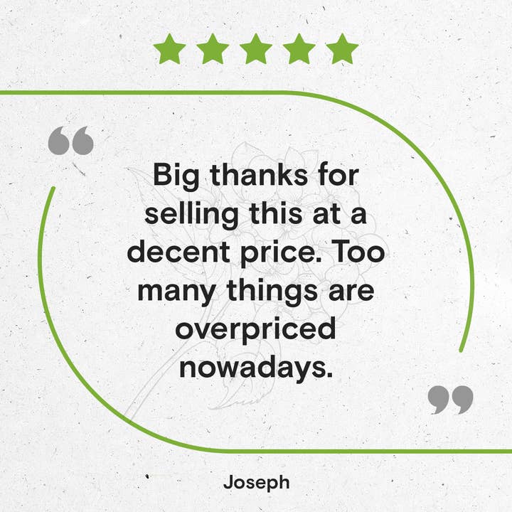 Secrets Of The Tribe - Wholesale Tincture - Kelp Tincture6