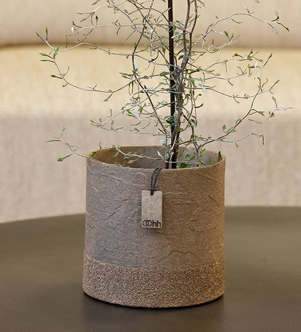 Lübech Living – Vaso de plantas por atacado – Vaso Wood'z Edge Taupe0