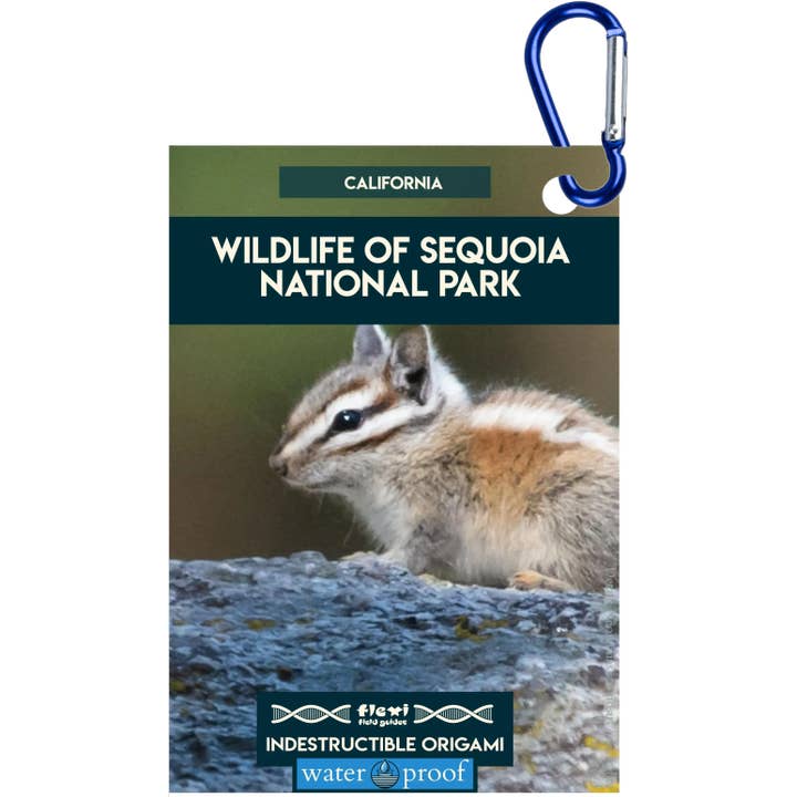 Dyreliv i Sequoia NP-Uforgængelig Origami for engroshandel hos Flexi Field Guides
