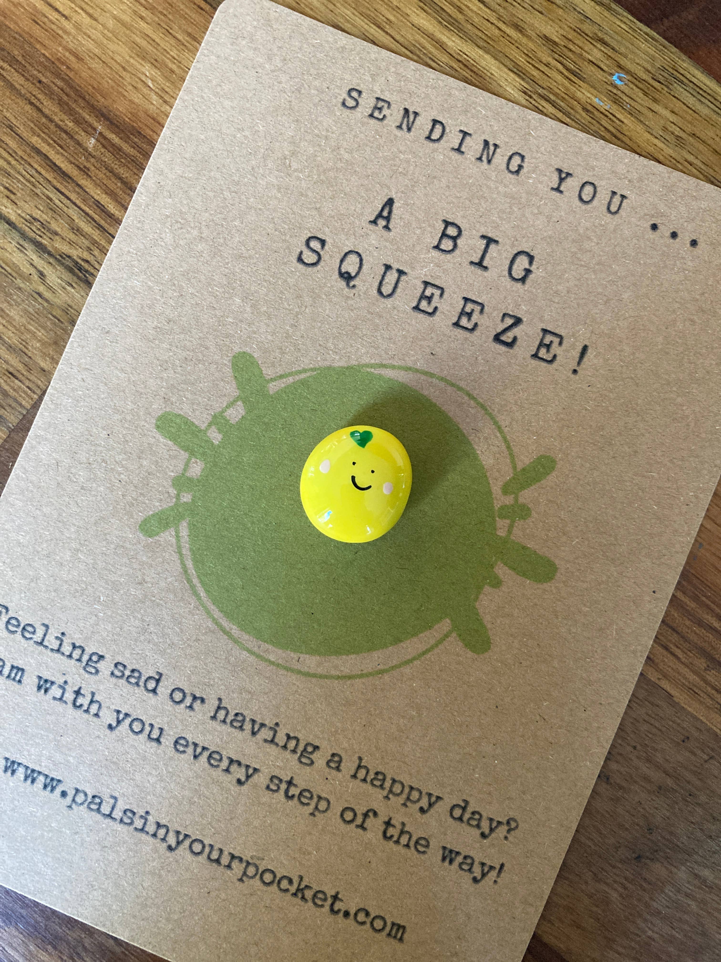 Pals in your Pocket – wholesale Keepsake coin/token – Long Distance Lemon Pebble Hug & Care Box1