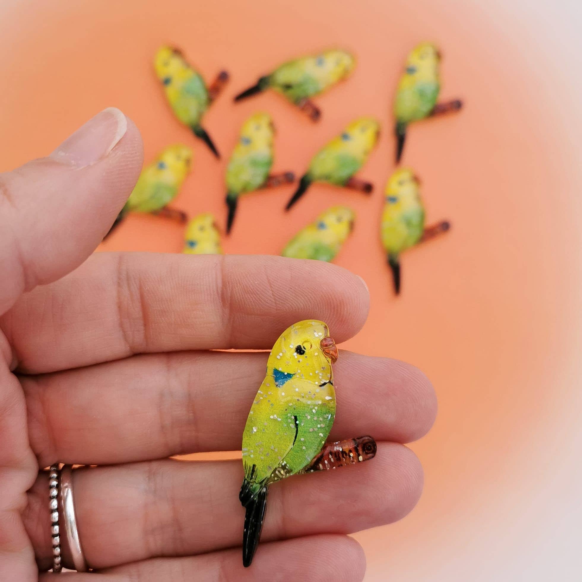 Pampa Mia - Vente Matériels de bricolage - Ensemble de 10 perruches en acrylique1