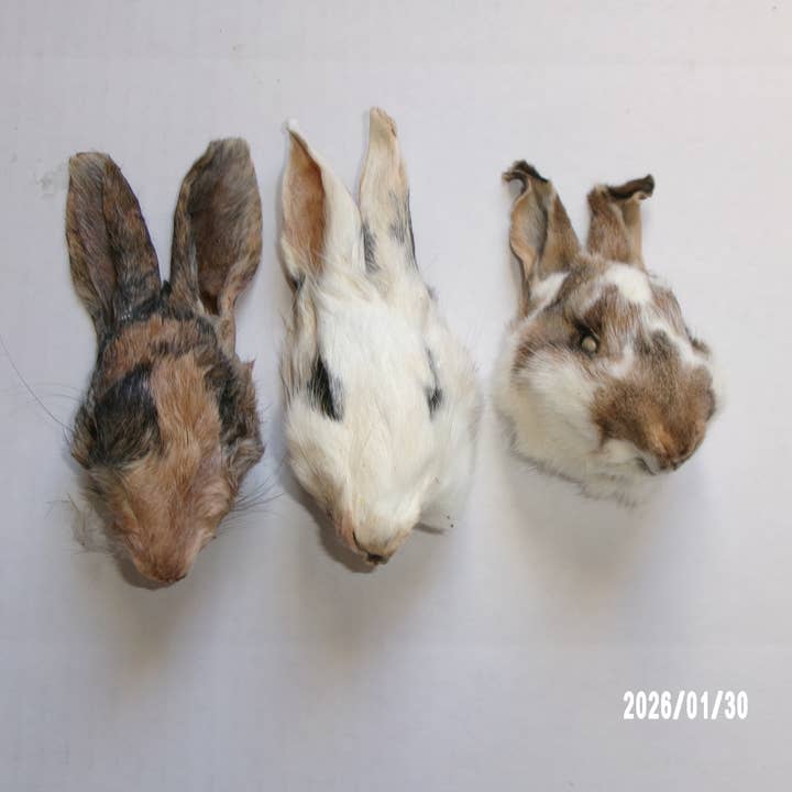 Rabbit Heads/Bulk for wholesale by Mill Street Pet Treats