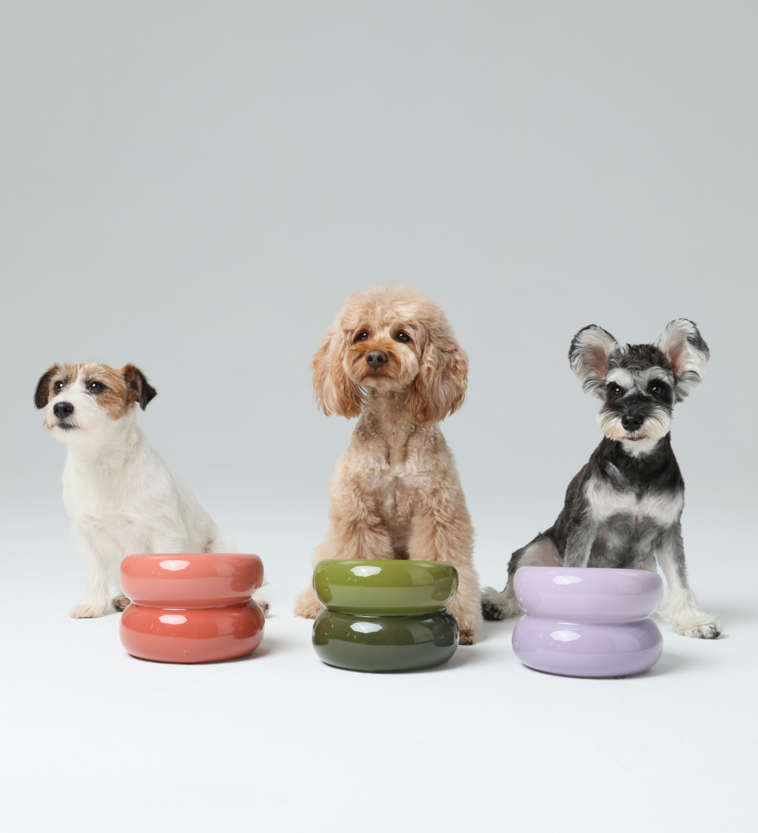 PEHOM - Wholesale Pet Bowl - Cat/Dog - Soufflé Pet Bowl - Purple10