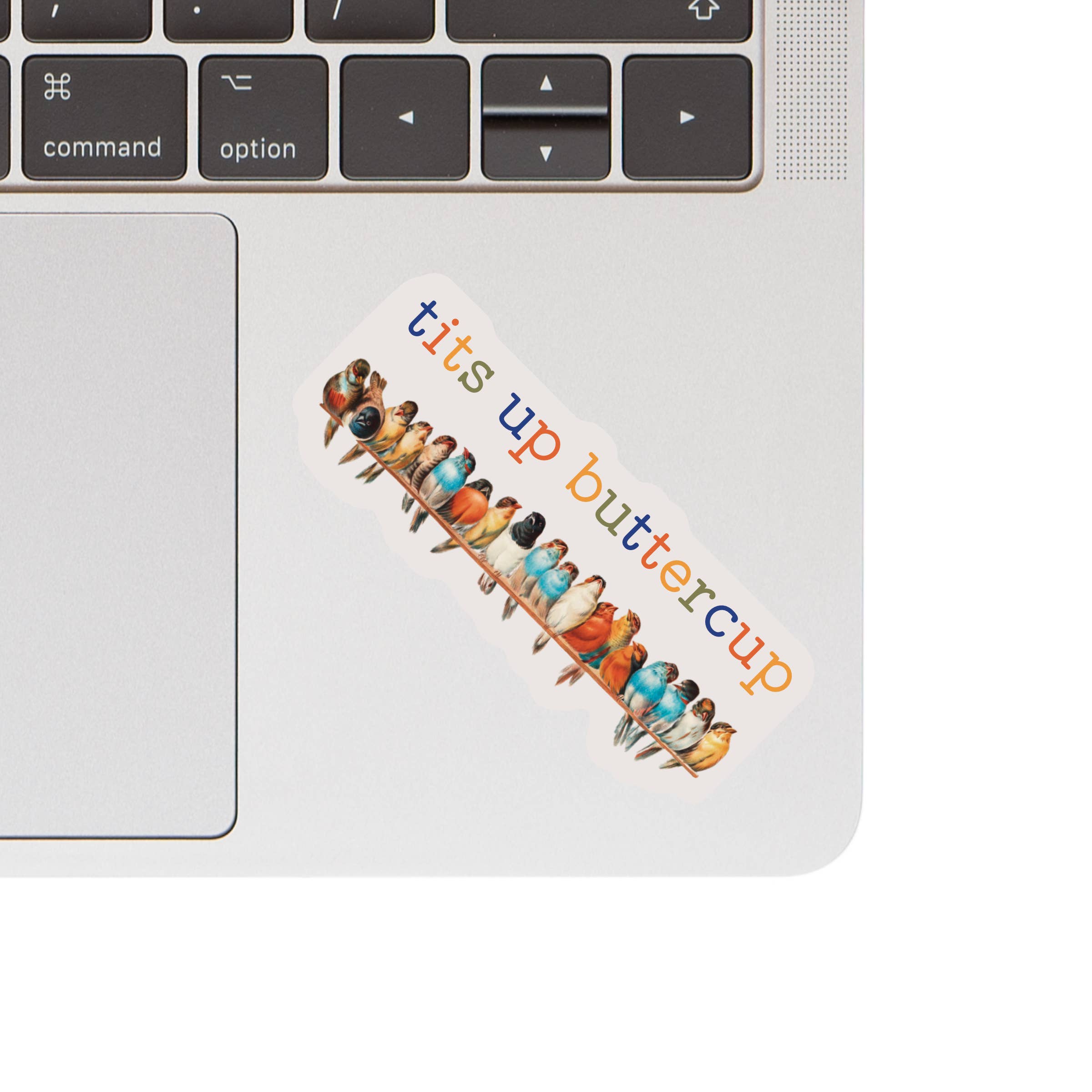 Juju and Moxie - Vente Autocollant - Autocollant en vinyle de haute qualité avec jeu de mots drôle "Oiseau Vintage Tits Up".1