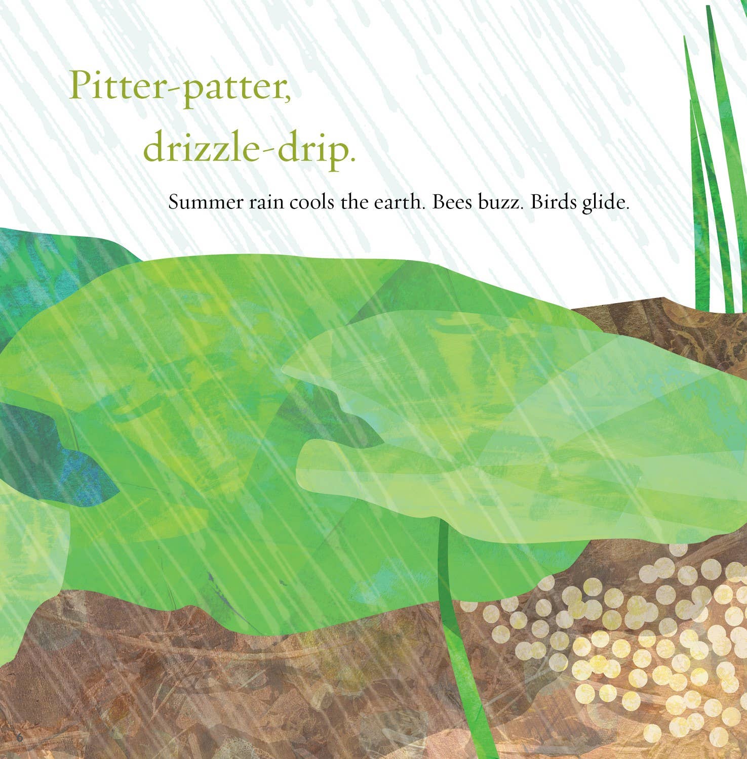 Sleeping Bear Press - Wholesale Book - Kids - Light the Sky, Firefly! Picture Book1