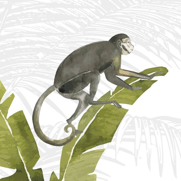 Walloha - Vendita all'ingrosso Carta da parati - Carta da parati Jungle - JUNGLE PLAYTIME - Sfondo per bambini10