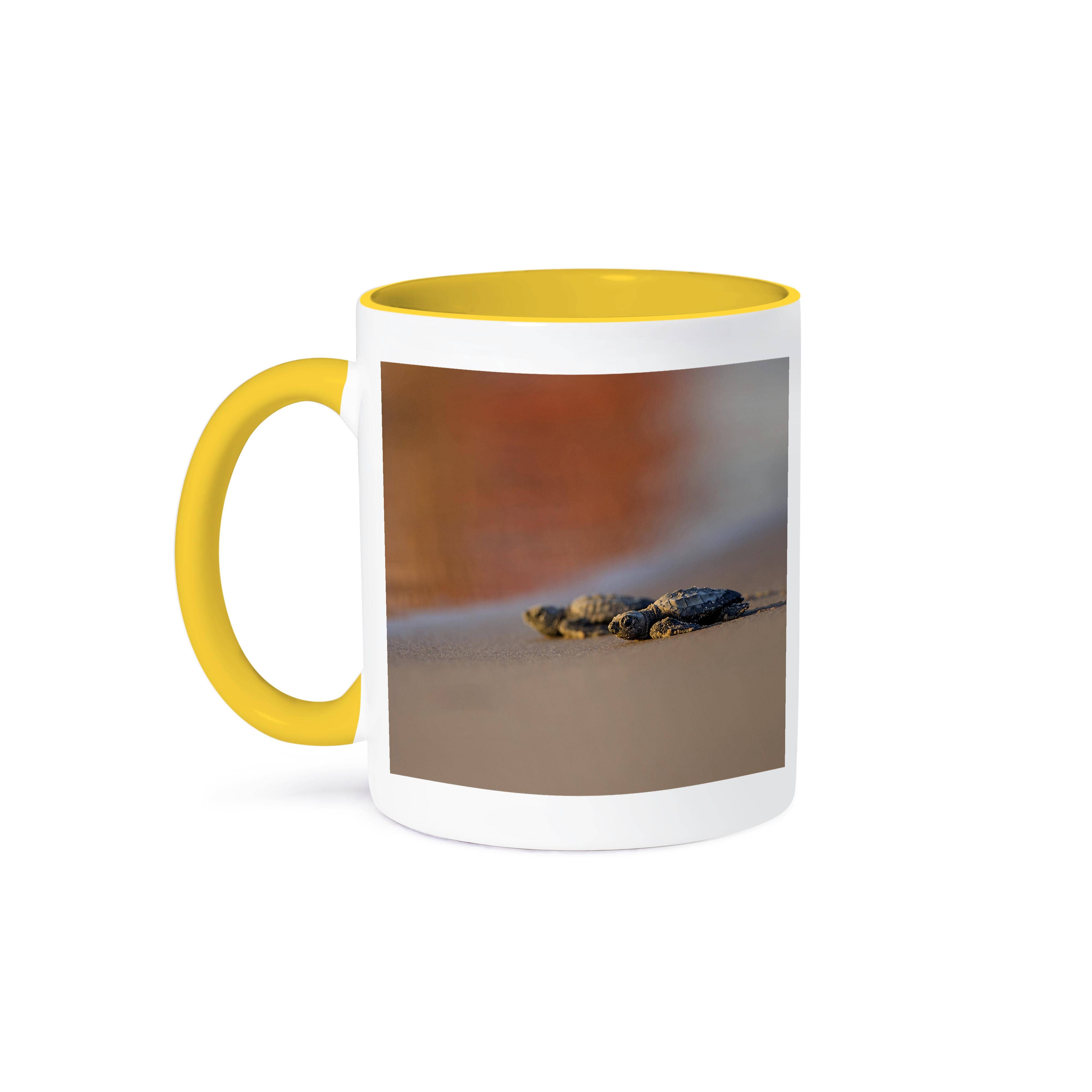 3dRose - Wholesale Coffee Mug - 3dRose, Kemps Ridley Sea Turtle, Lepidochelys kempii, hatchlings., Mug0