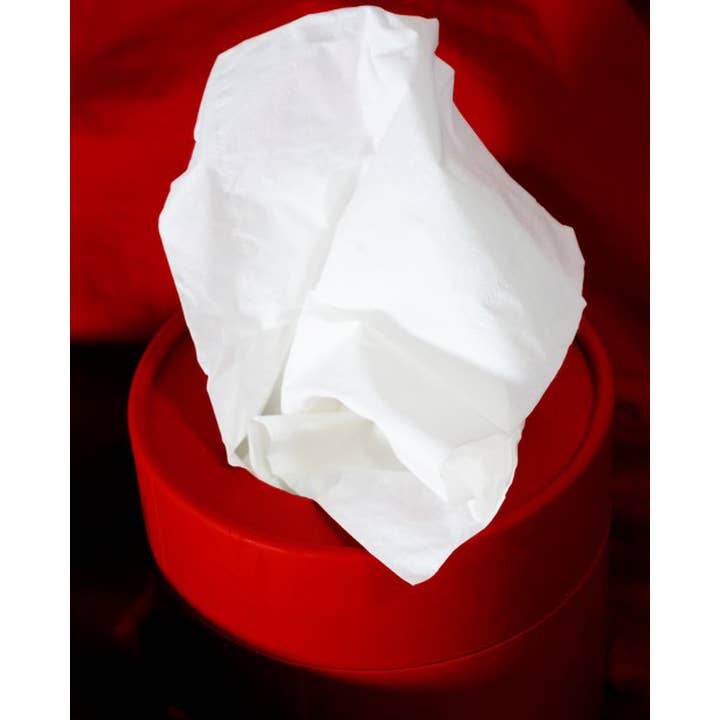 Renova - Wholesale Tissue Box - White Facial Tissues Renova Red Box3