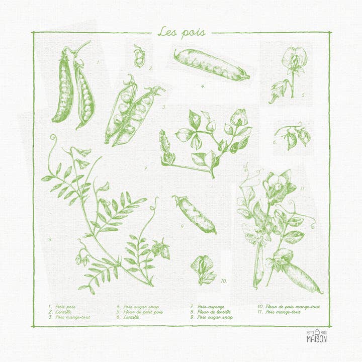 Les Pois 100% Baumwoll-Geschirrtuch für den Großhandel von Petits Mots