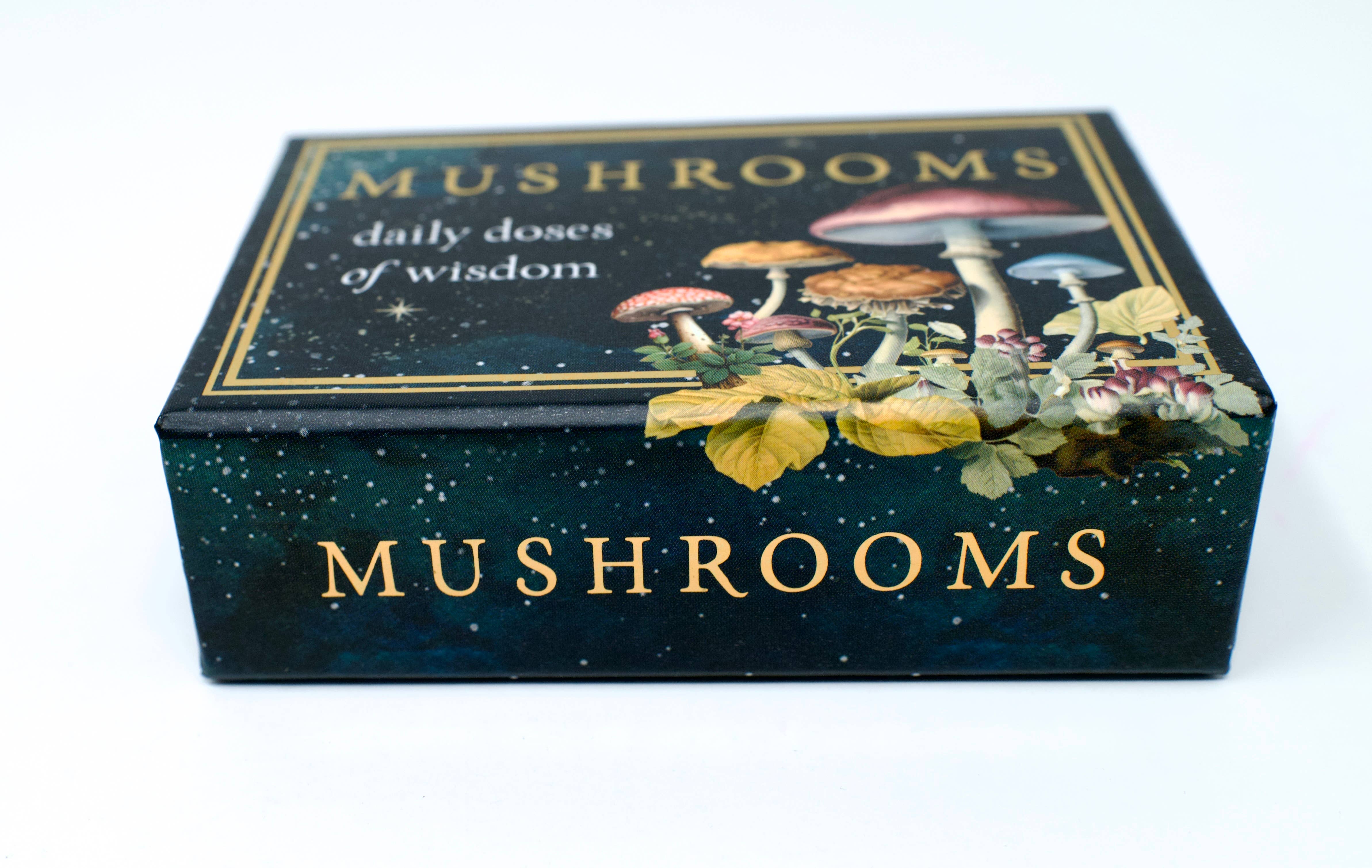 Red Wheel/Weiser LLC - Wholesale Tarot Cards - Mushrooms: Daily Doses of Wisdom (36 Gilt-Edged Mini Cards)14