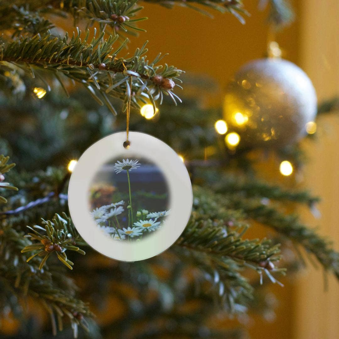 3dRose – wholesale Prydnad – 3dRose, Savannah, Georgia. Klunga av prästkragar i Forsyth Park, prydnad6