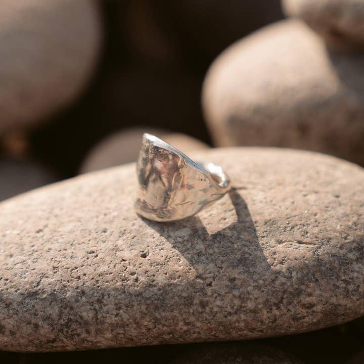 Dea Dia - Wholesale Signet Ring - The Protector Ring - Silver Shield Signet Ring