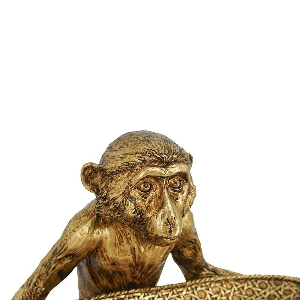 A&B Home Group Inc. - Wholesale Decoratief dienblad - Apenblad5