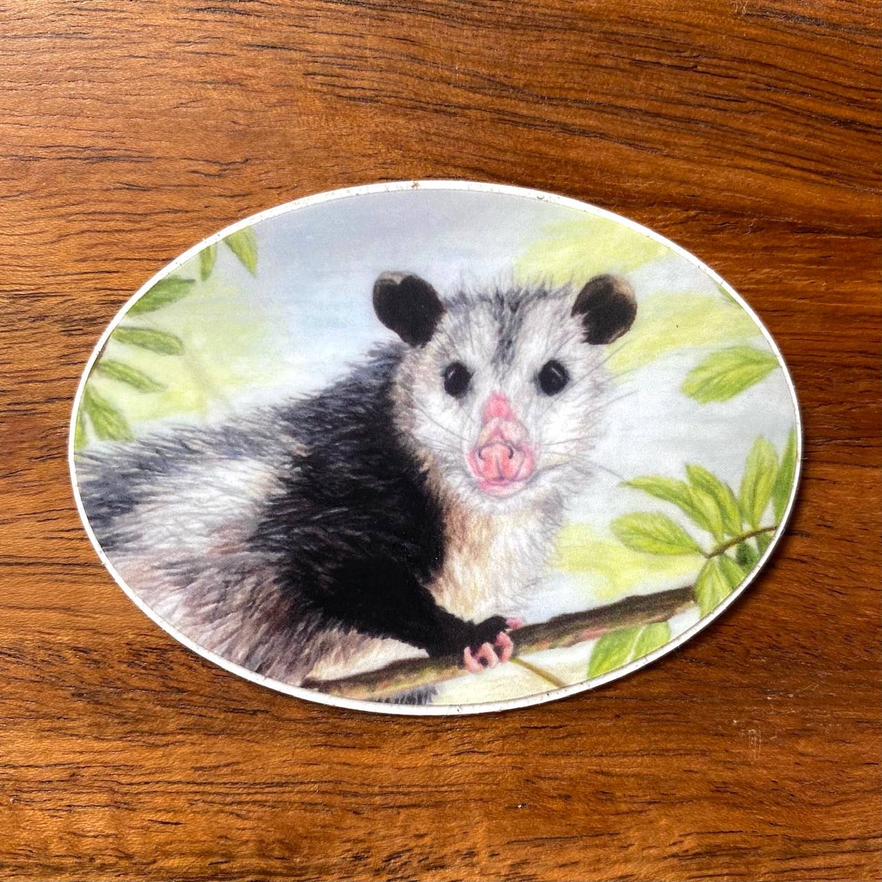 Brush & Bark - Wholesale Sticker - Opossum Sticker2